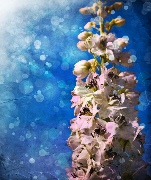 Гарні білі квіти
 - Фото, зображення