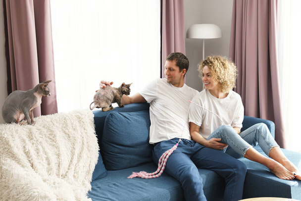 Young and happy couple playing with their cats at home - Photo, image
