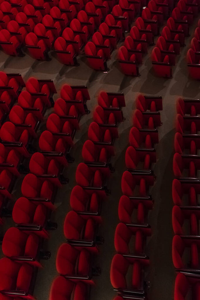 empty red chairs in rows in theatre  - 写真・画像