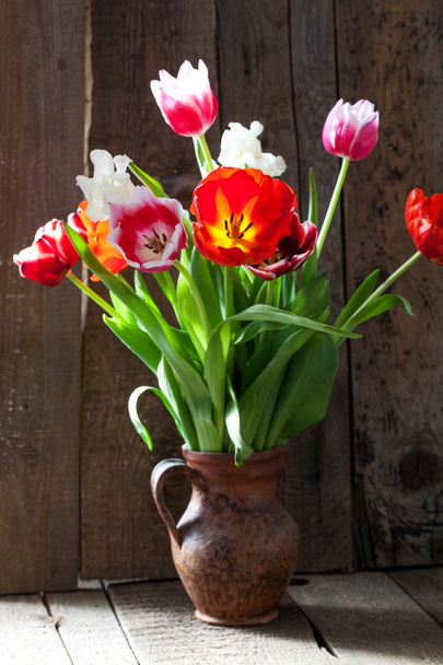 Fleurs de tulipes en pot
 - Photo, image