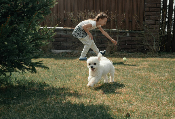 Egy szoknyás kislány tarawázik egy fehér kutyával egy nyári napon. Kis fajtiszta fehér kutya. Háziállatok. Az állatgondozás fogalma. - Fotó, kép