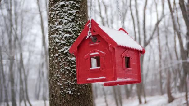Σπίτι πουλιών στο χειμερινό πάρκο. Μινιατούρα κόκκινο σπίτι για τα πουλιά - Πλάνα, βίντεο