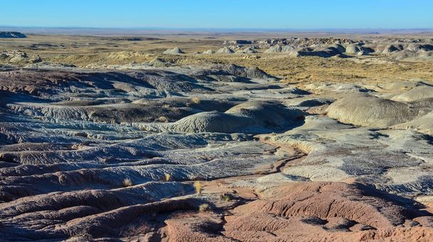 Landscape, panorama of erosive multi-colored clay in Petrified Forest National Park, Arizona - Fotoğraf, Görsel