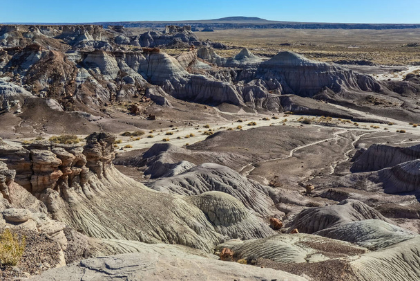 Нафарбована пустеля в сонячний день. Різноманітні осадові породи й глина випрані водою. Національний парк скам "янілих лісів (США, Арізона). - Фото, зображення