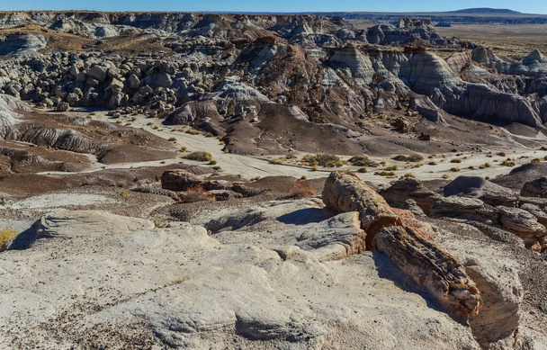 Güneşli bir günde Boyalı Çöl. Çeşitli tortu kayaları ve kil suyla yıkanmış. Taşlaşmış Orman Ulusal Parkı, ABD, Arizona - Fotoğraf, Görsel