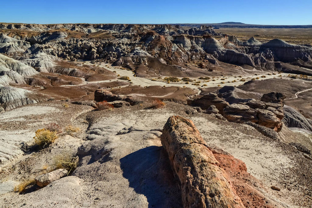 The Painted Desert on a sunny day. Diverse sedimentary rocks and clay washed out by water. Petrified Forest National Park, USA,  Arizona - Fotoğraf, Görsel