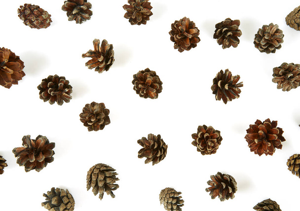 cones of pine isolated on white background - Zdjęcie, obraz