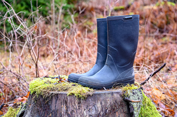 a pair of wellingtons standing on a treestump - Photo, Image
