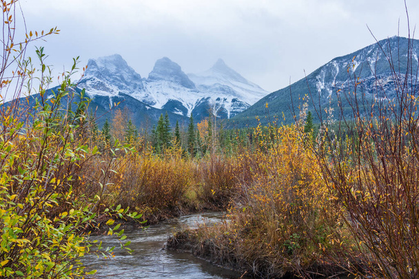 Śnieg zakrył szczyt tria Trzech Sióstr jesienią. Piękne krajobrazy w Canmore, Canadian Rockies, Alberta, Kanada. - Zdjęcie, obraz