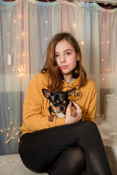 Молодая женщина с собакой. Девушка и чихуахуа. Девочка-подросток с маленькой собачкой в руках в помещении - Фото, изображение