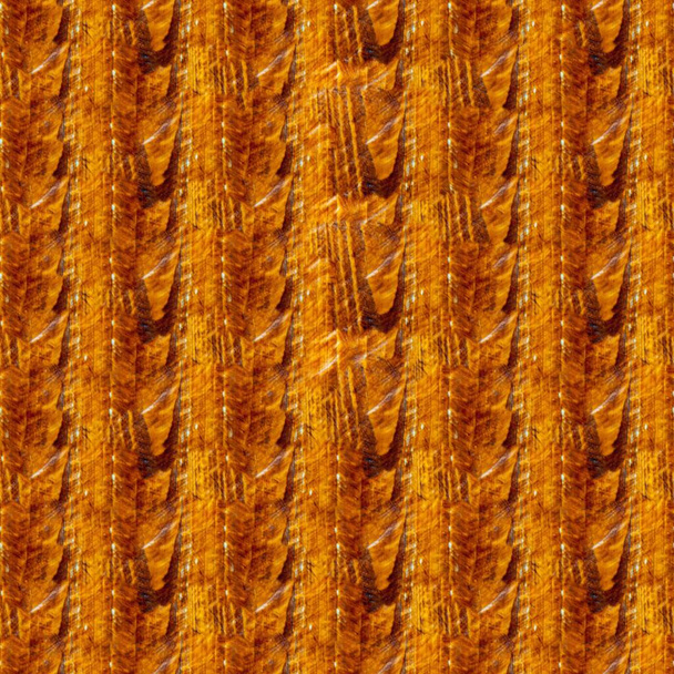 Textura de madera con patrones naturales - Foto, Imagen