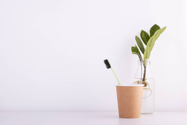Zero waste of cosmetic products, a toothbrush in a cardboard container and a green houseplant. recycling, cleanliness of the planet earth - Fotografie, Obrázek
