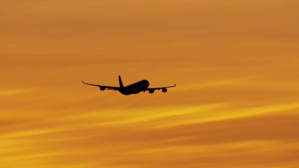 Vue aérienne de la silhouette avion volant au coucher du soleil LA - Séquence, vidéo