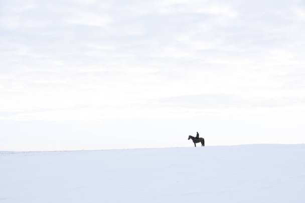Ένας έφιππος άντρας μια χειμωνιάτικη μέρα στα χωράφια και στους λόφους. Ο Σόλο περπατάει στο ρεπό του. Χόμπι.. - Φωτογραφία, εικόνα
