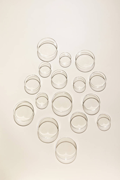 A vertical shot of glass petri dish on smooth pink background - Foto, Bild