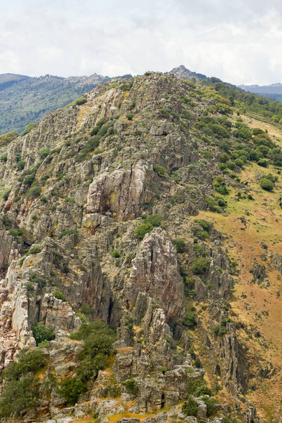 A vertical shot of Monfrague national park in Spain. High mountains and rocks covered in green - 写真・画像