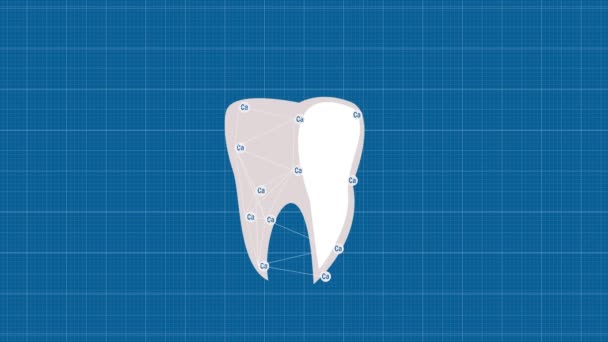 Der Zahn ist durch Kalzium geschützt. Animierter Zahn auf Transparentpapier. Zahnschmelzschutz - Filmmaterial, Video
