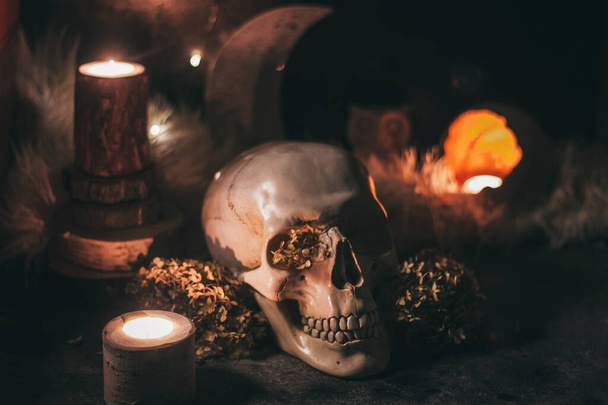 Occult mystic ritual halloween witchcraft scene - human scull, candles, dried flowers, moon and owl - Fotó, kép