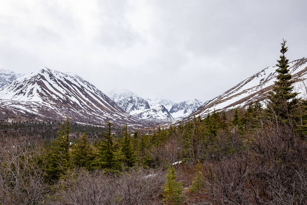 A beautiful shot of mesmerizing snowy mountains in Chugach State park, Alaska with trees - 写真・画像