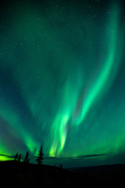 A beautiful shot of aurora borealis, Dawson City, Yukon, Canada - Foto, Imagen
