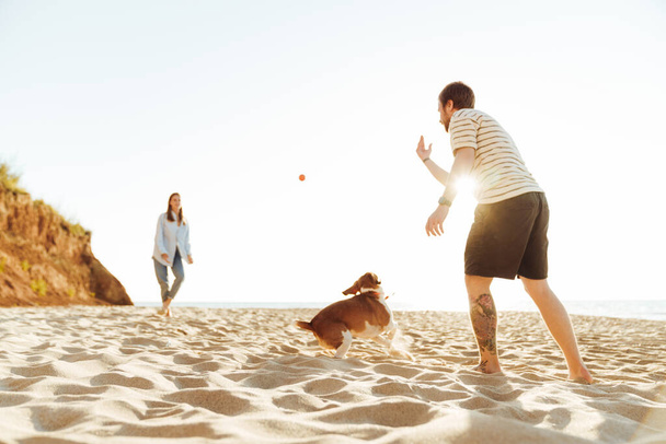 Photo of a young amazing loving couple playing with dog outside at the beach - 写真・画像