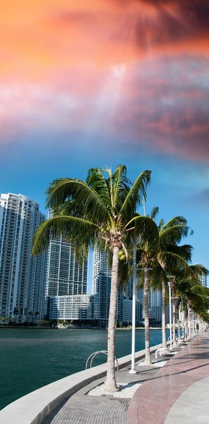 Miami a lo largo del mar
 - Foto, Imagen