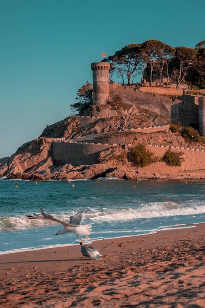 Vistas al castillo de Tossa de Mar con la playa olas y gaviotas volando - Φωτογραφία, εικόνα