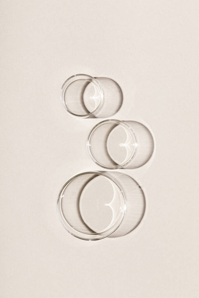 A top view of glass circles of  different types - Photo, Image