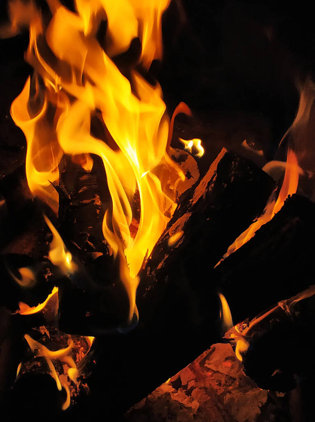 Fire flames in a bonfire at night. - Фото, изображение