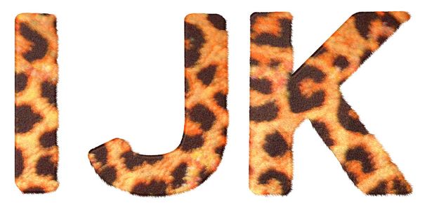 Leopard fur I J and K letters isolated - 写真・画像