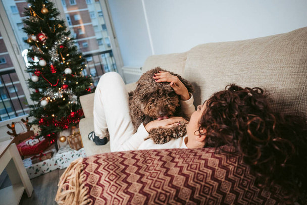 Ruskeaverikkö nainen makaa sohvalla espanjalaisen vesikoiransa kanssa nauttien seurastaan joululomilla. Koira suutelee omistajansa kättä. Perhe koira joulun käsite - Valokuva, kuva