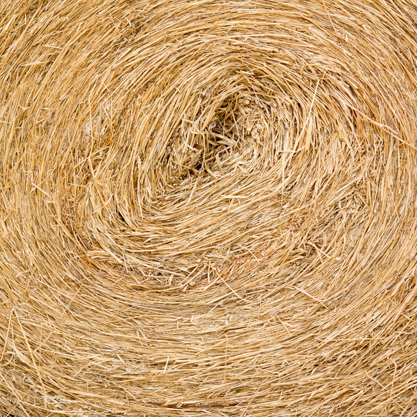 Dry straw macro shot. Background or Texture - Photo, Image