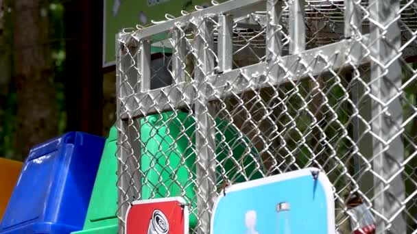 Turistka ruka házení plastové láhve v recyklačním kontejneru v parku. Ochrana životního prostředí. - Záběry, video