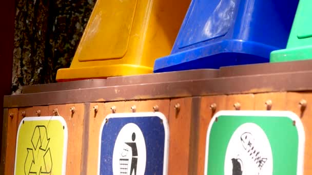 Туристка бросает пластиковую бутылку в мусорный бак в парке. Охрана окружающей среды. - Кадры, видео