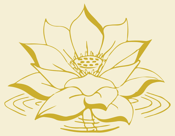 Rajz vagy vázlat indiai lótuszvirág és minta szerkeszthető vázlat Illusztráció háttér - Vektor, kép