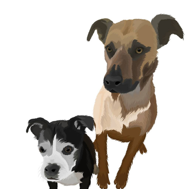 Fekete és barna aranyos kutya arc vektor tervezés - Vektor, kép