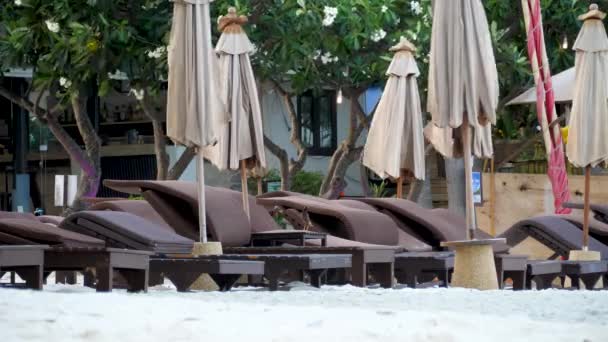Empty sun beds near bungalows with green trees on beach - Footage, Video