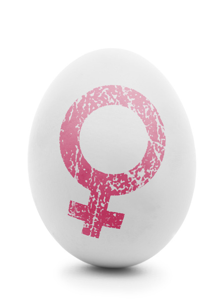Œuf blanc avec symbole féminin rose isolé sur blanc
  - Photo, image