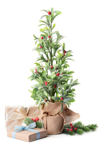 Schöne Weihnachtskomposition mit Mistelpflanze auf weißem Hintergrund - Foto, Bild