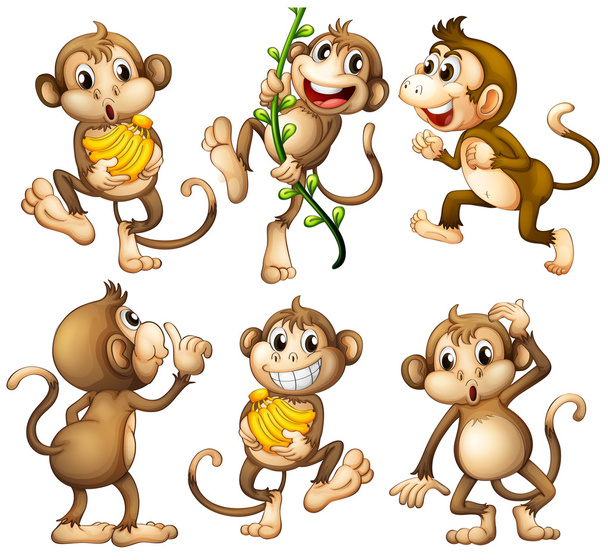 Scimmie selvatiche giocose
 - Vettoriali, immagini