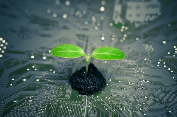 Green Computing - Foto, Bild