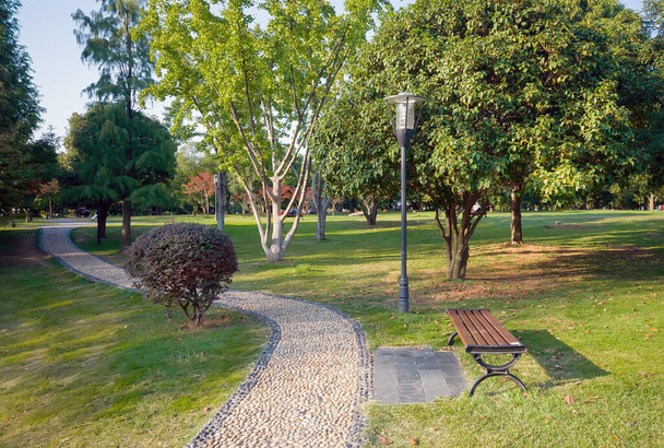 path in the park with a lantern and a bench - Foto, immagini