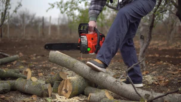 Lumberjack iniciar motosserra e serra log - Filmagem, Vídeo