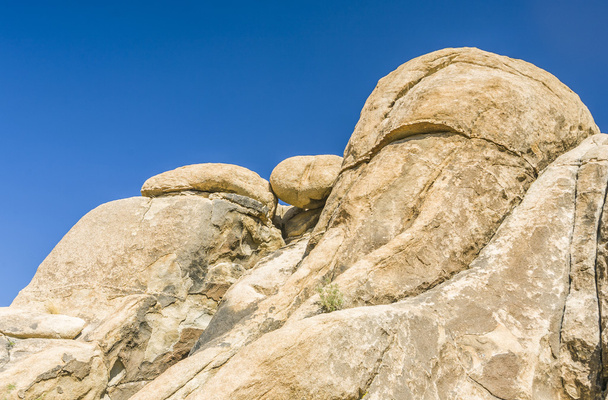 rochers pittoresques dans le parc national Joshua Tree
  - Photo, image