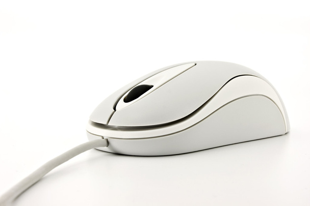 White Computer Mouse Isolated - Photo, Image