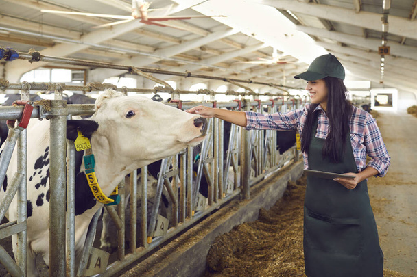 Sorrindo carinhoso jovem agricultor leiteiro acariciando uma vaca e segurando um tablet digital. - Foto, Imagem