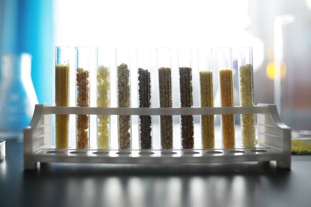 Testbuizen met zaden van selectieplanten. Onderzoek Analyse van landbouwgranen en zaden in het laboratorium - Foto, afbeelding