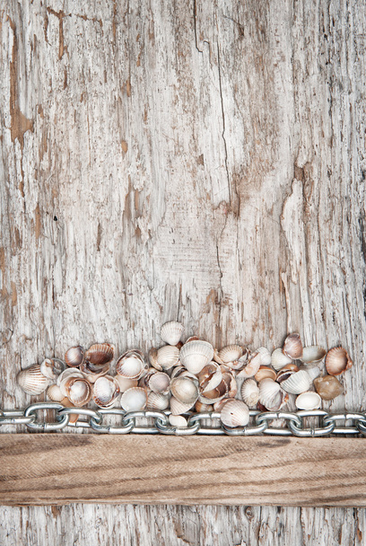 Metal chain and seashells on the old wood  - Photo, Image