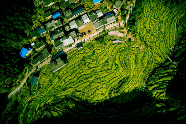 Čína Asijské terasovité hory - Fotografie, Obrázek