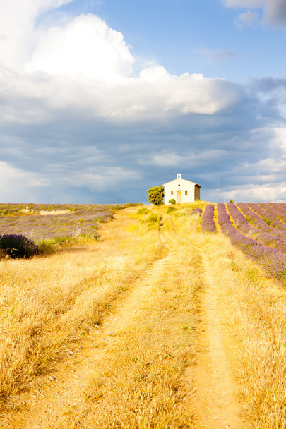 kapel met Lavendel veld - Foto, afbeelding